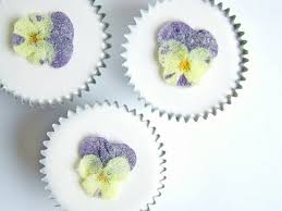 images/violen cupcacke.jpg